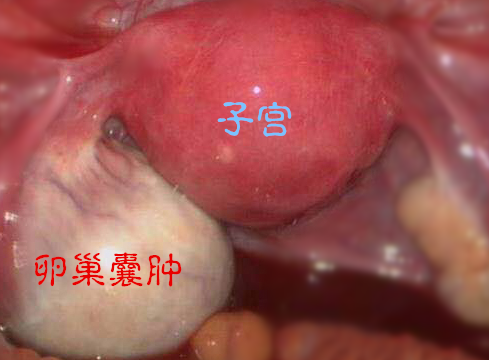 1515218589109769.png 微信图片_20171223094738.png